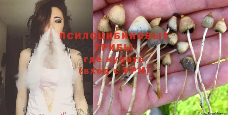 Галлюциногенные грибы MAGIC MUSHROOMS  закладки  Боровск 